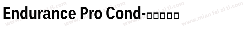 Endurance Pro Cond字体转换